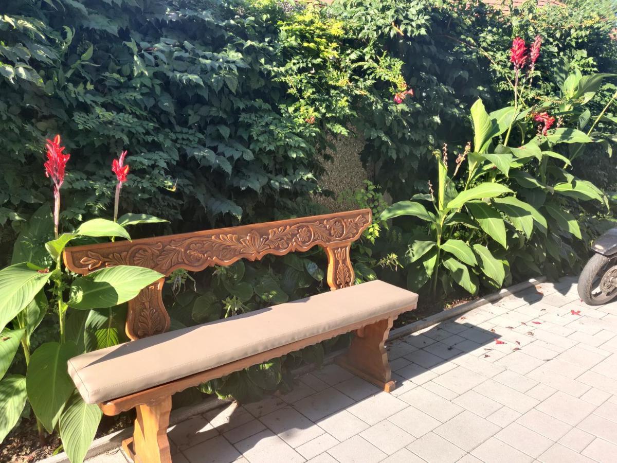 Pension Nest - Family Apartman Mosonmagyarovar Luaran gambar
